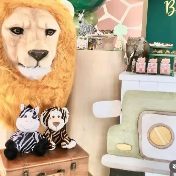 IMG FESTEJAR - FESTA SAFARI 05